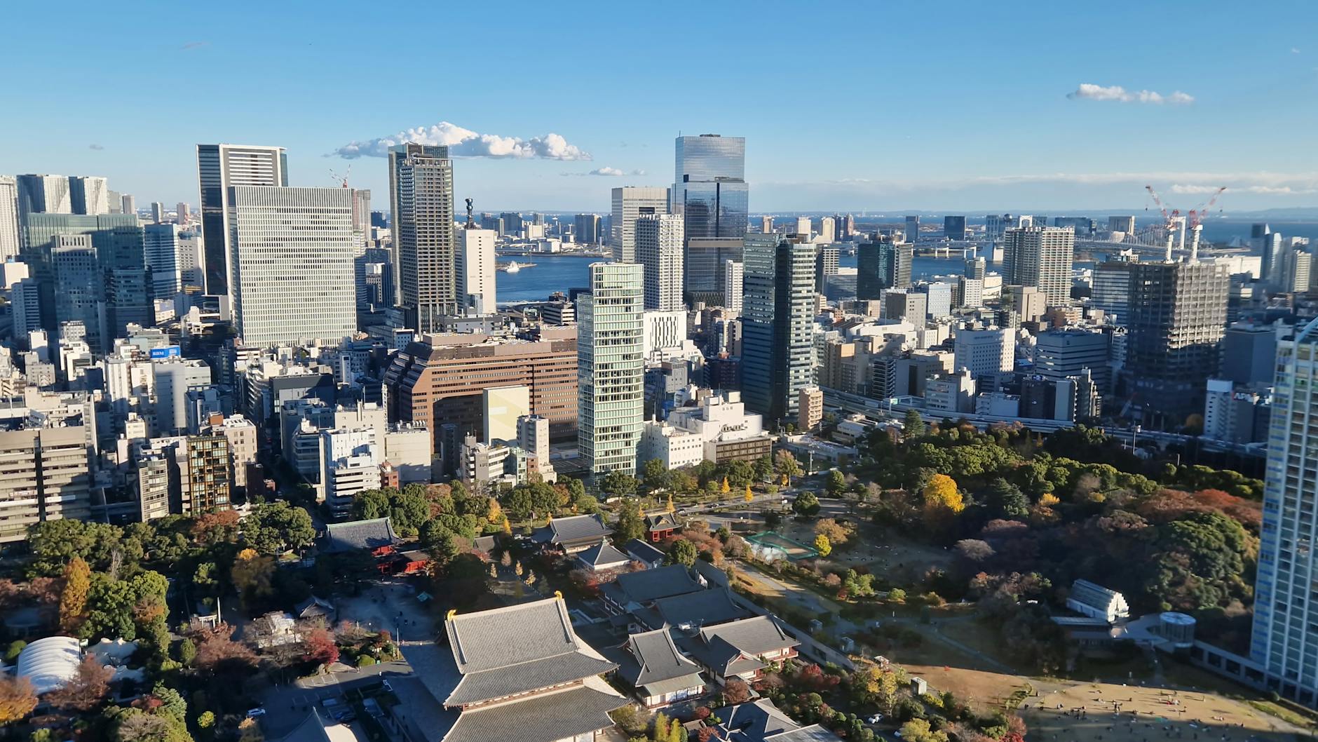 巅峰救援组织